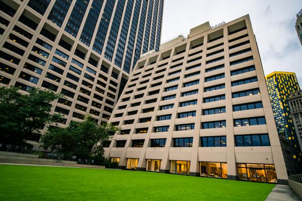 Corporate Turf Installation