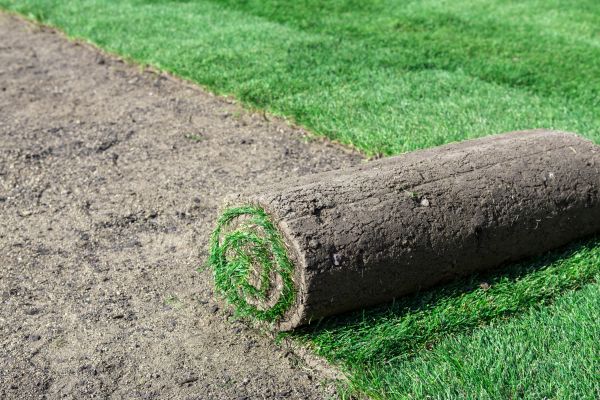 Commercial Sod Installation